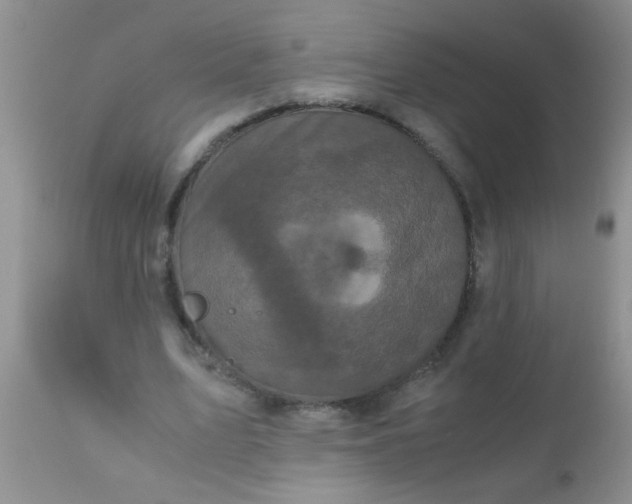 X0000110950583200907022159