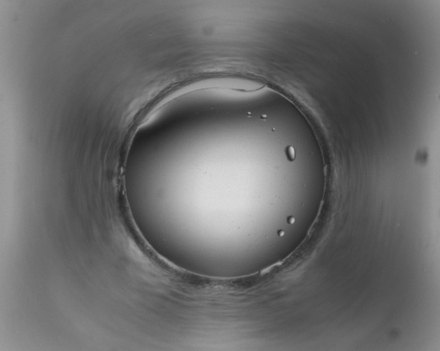 X0000110950585200907022159