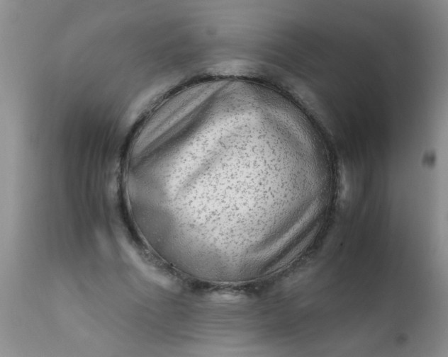 X0000110950586200907022159