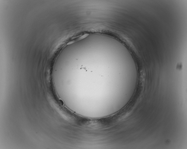 X0000110950589200907022159