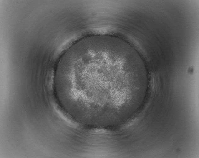 X0000110950590200907022159