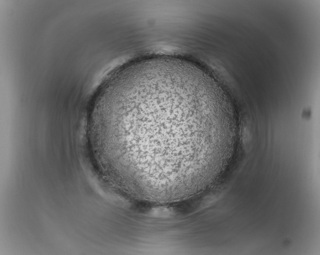 X0000110950591200907022159