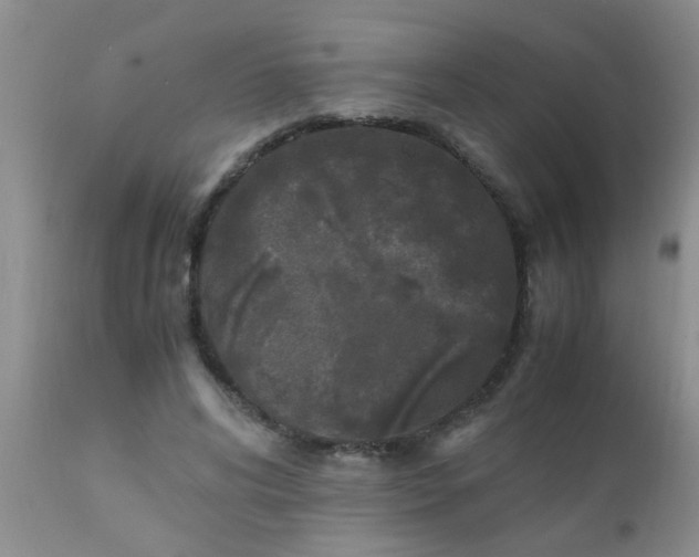 X0000110950592200907022159