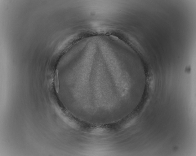 X0000110950593200907022159