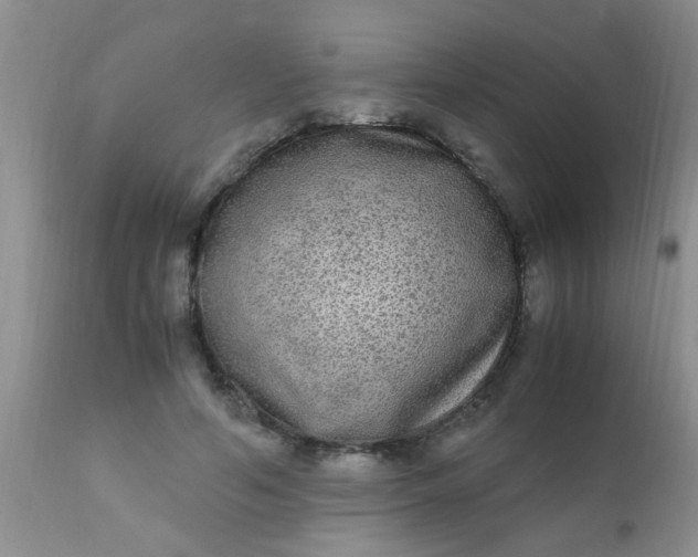 X0000110950594200907022159