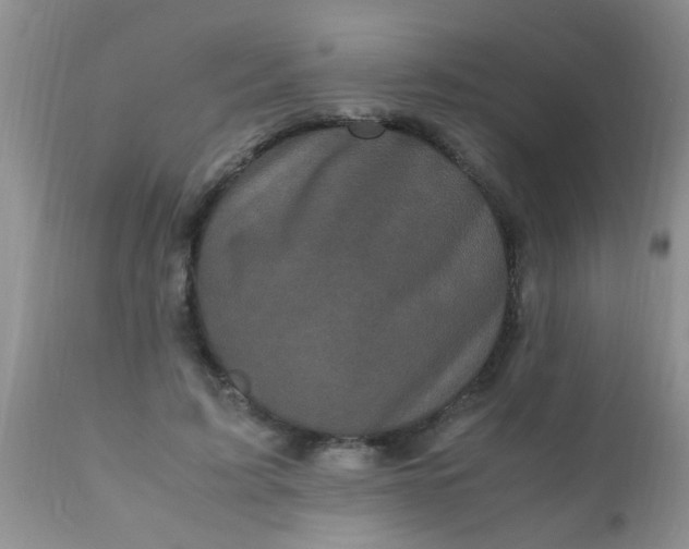 X0000110950595200907022159