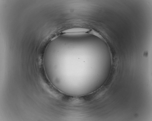 X0000110950597200907022159