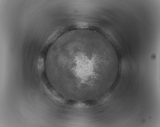 X0000110950598200907022159