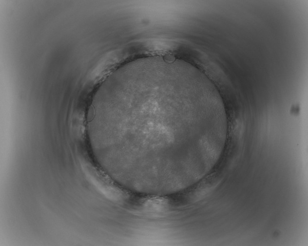 X0000110950599200907022159