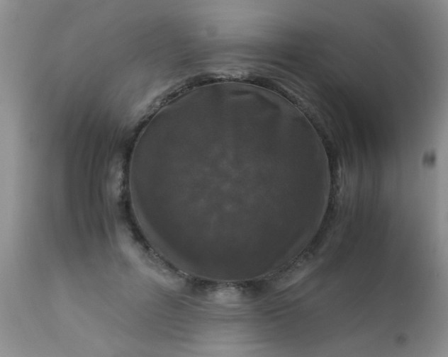 X0000110950600200907022159