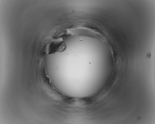 X0000110950601200907022159