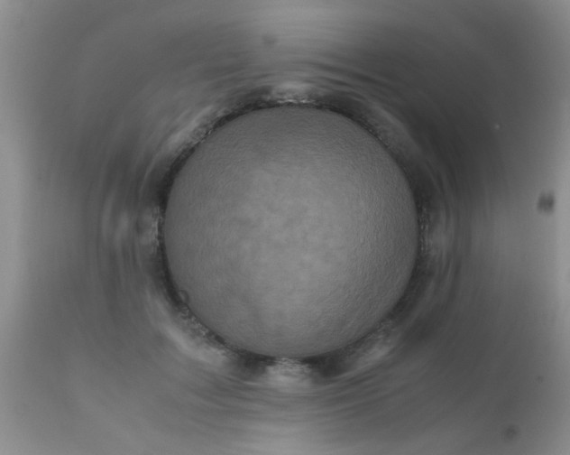 X0000110950603200907022159