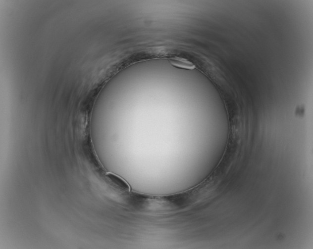 X0000110950605200907022159