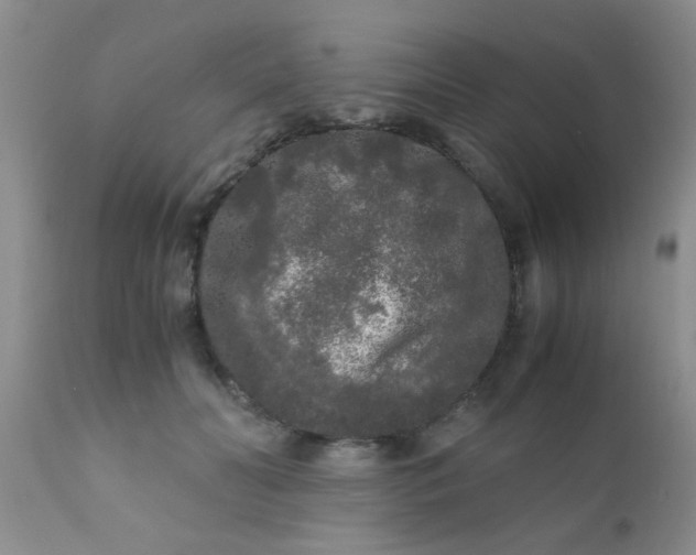 X0000110950606200907022159