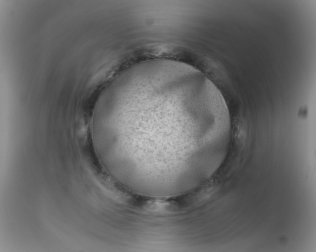 X0000110950607200907022158