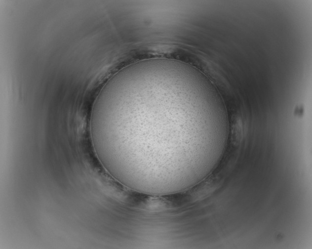 X0000110950608200907022158