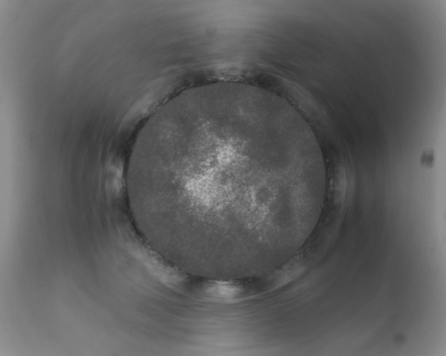 X0000110950610200907022158