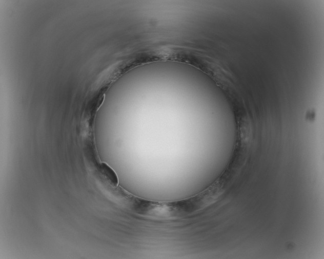 X0000110950611200907022158