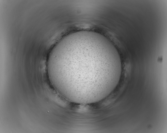 X0000110950612200907022158