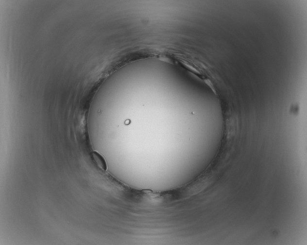 X0000110950613200907022158