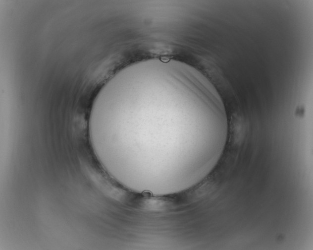 X0000110950614200907022158