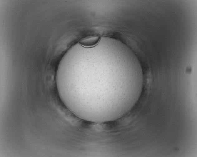 X0000110950615200907022158