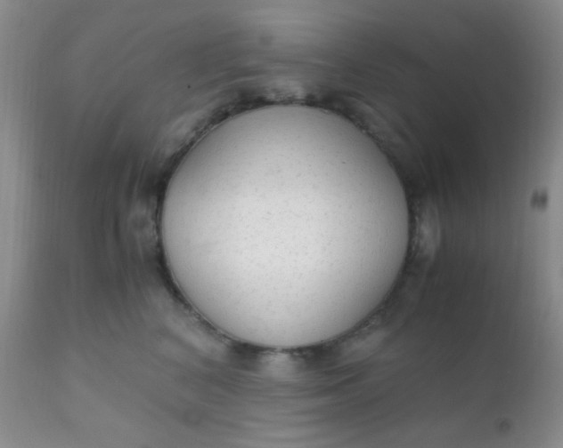 X0000110950616200907022158