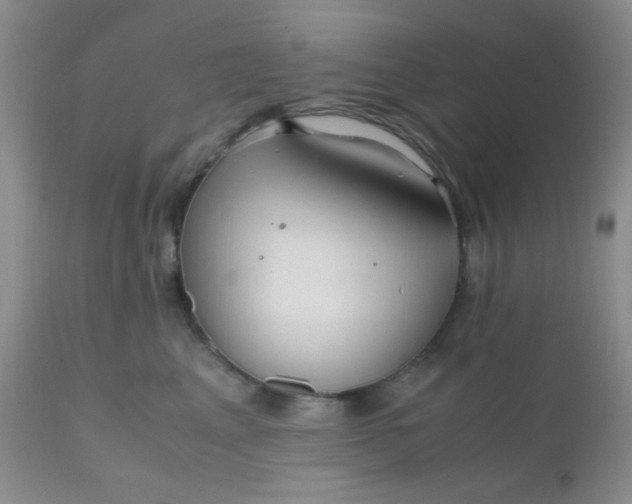 X0000110950617200907022158