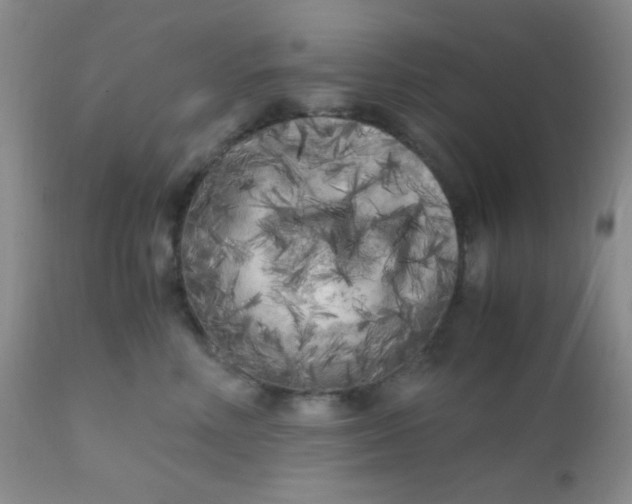 X0000110950618200907022158