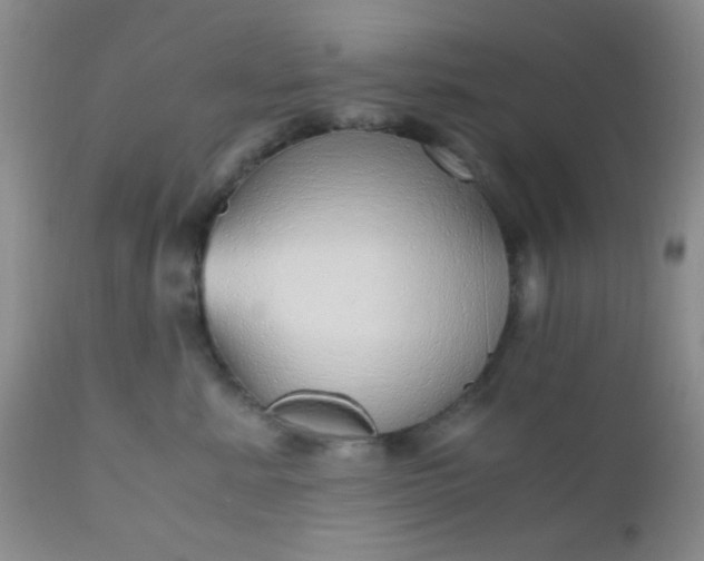 X0000110950619200907022158