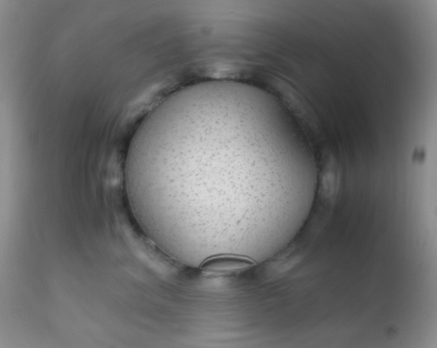 X0000110950620200907022158