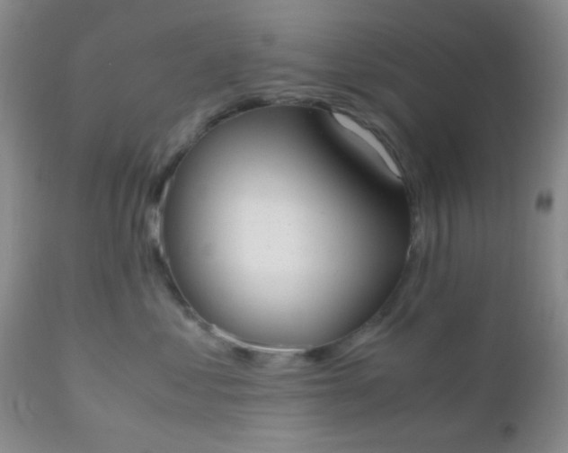 X0000110950621200907022158