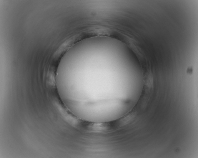 X0000110950622200907022158