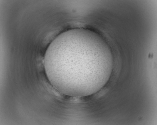 X0000110950624200907022158