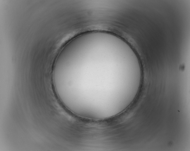 X0000110950625200907022158