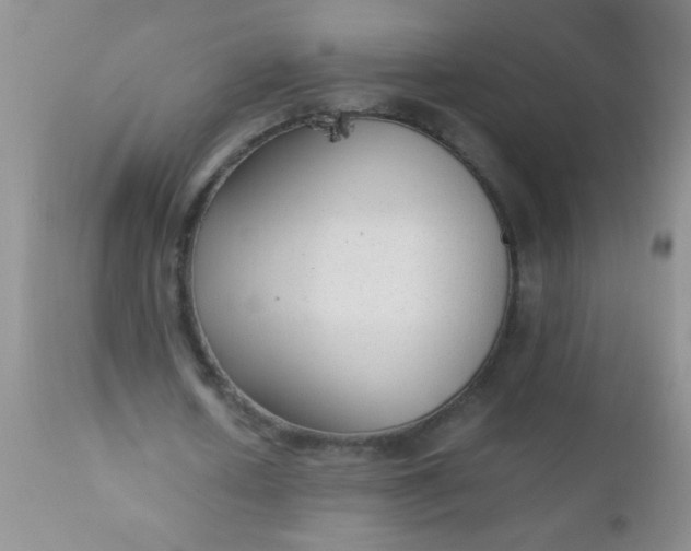 X0000110950626200907022158