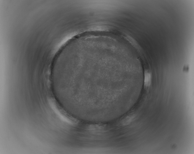 X0000110950627200907022158