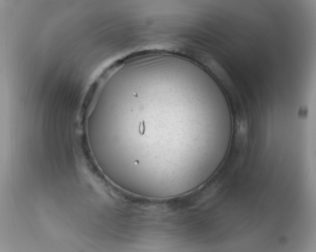 X0000110950628200907022158