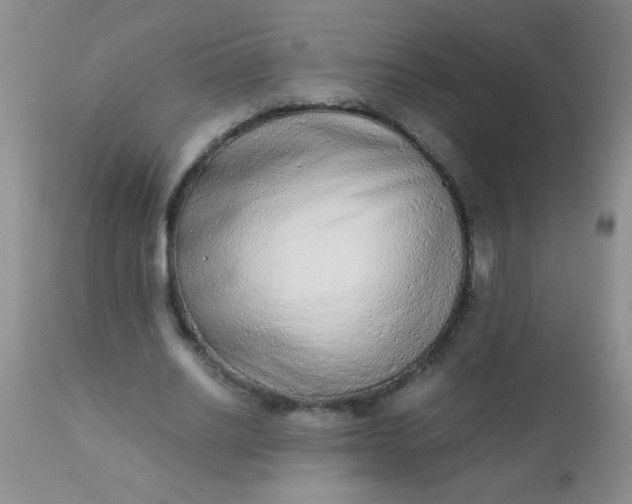 X0000110950630200907022158