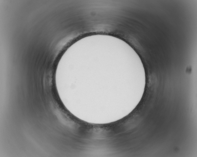 X0000110950632200907022158