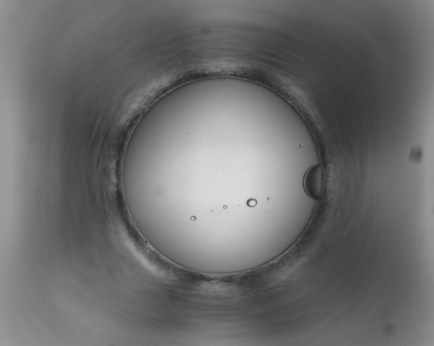 X0000110950633200907022158