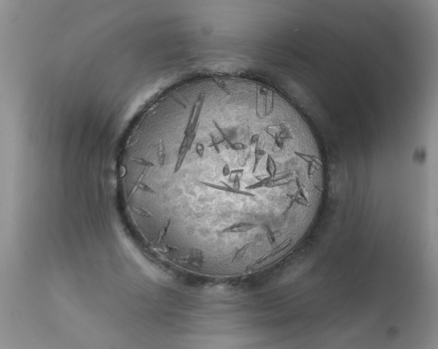 X0000110950634200907022158