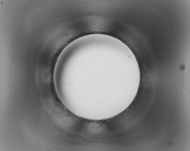 X0000110950635200907022158