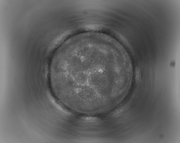 X0000110950637200907022158