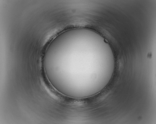 X0000110950638200907022158