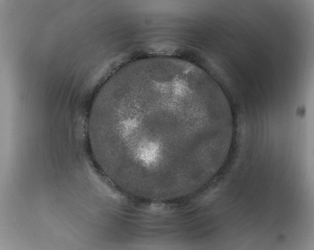 X0000110950641200907022158