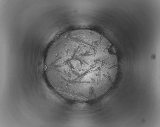 X0000110950642200907022158