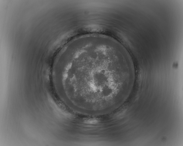 X0000110950643200907022158