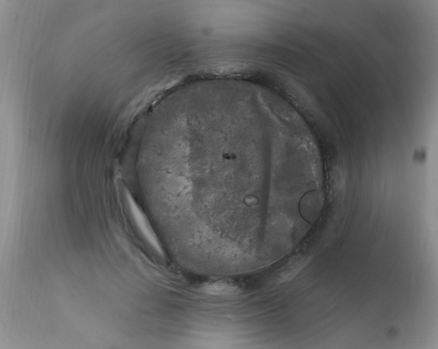 X0000110950644200907022158