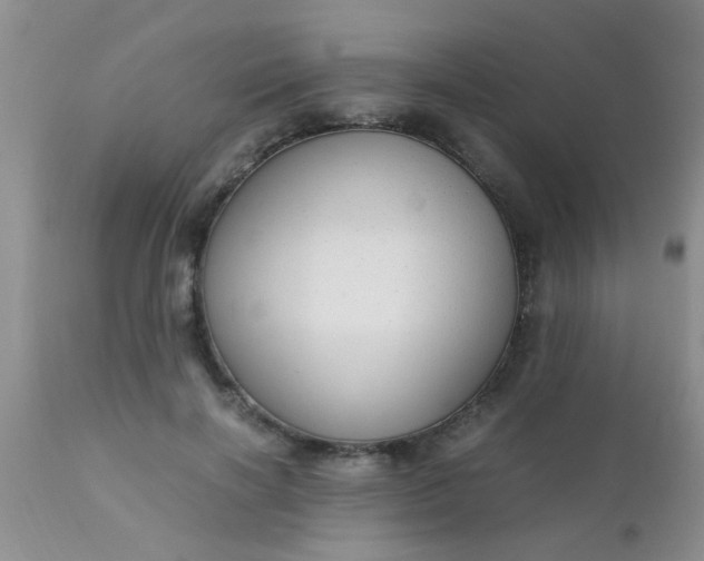 X0000110950646200907022158